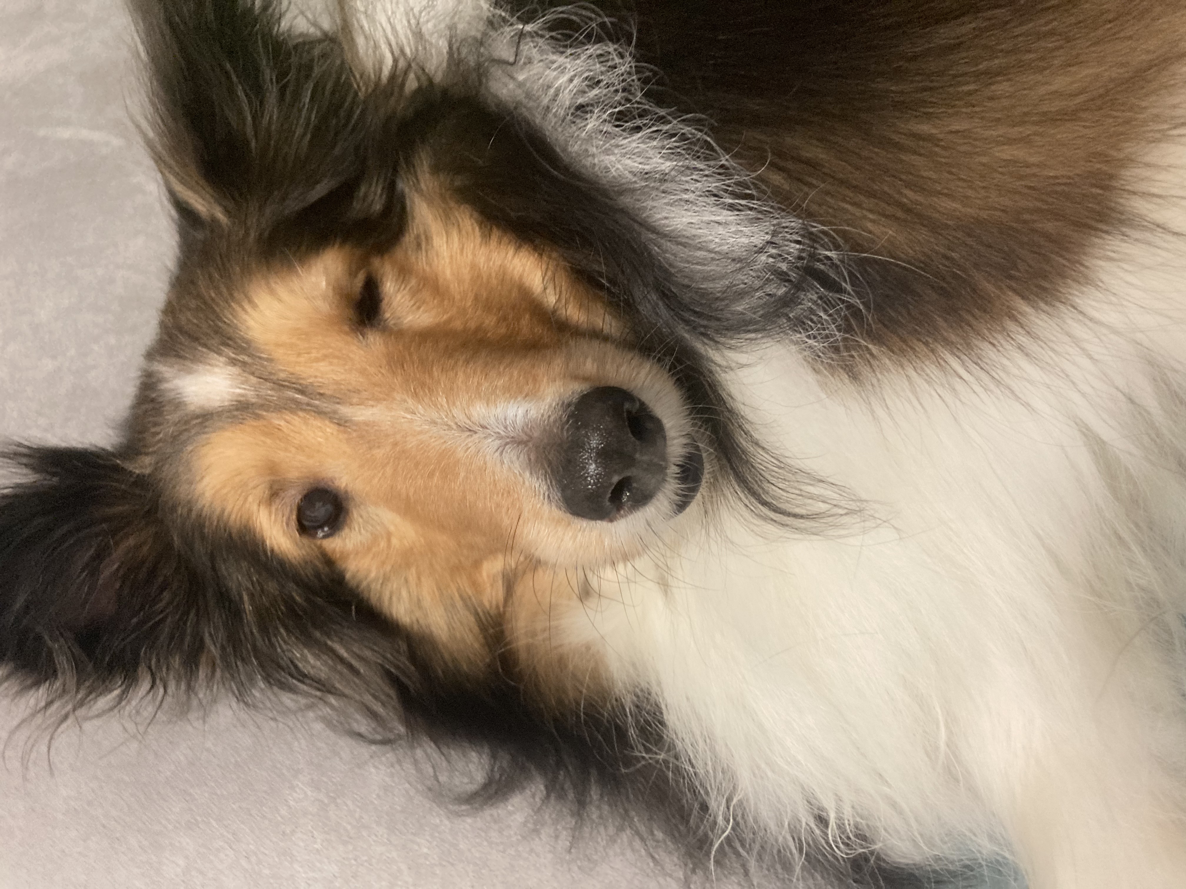 단이의 프로필 이미지